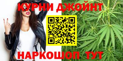 mdpv Ачхой-Мартан