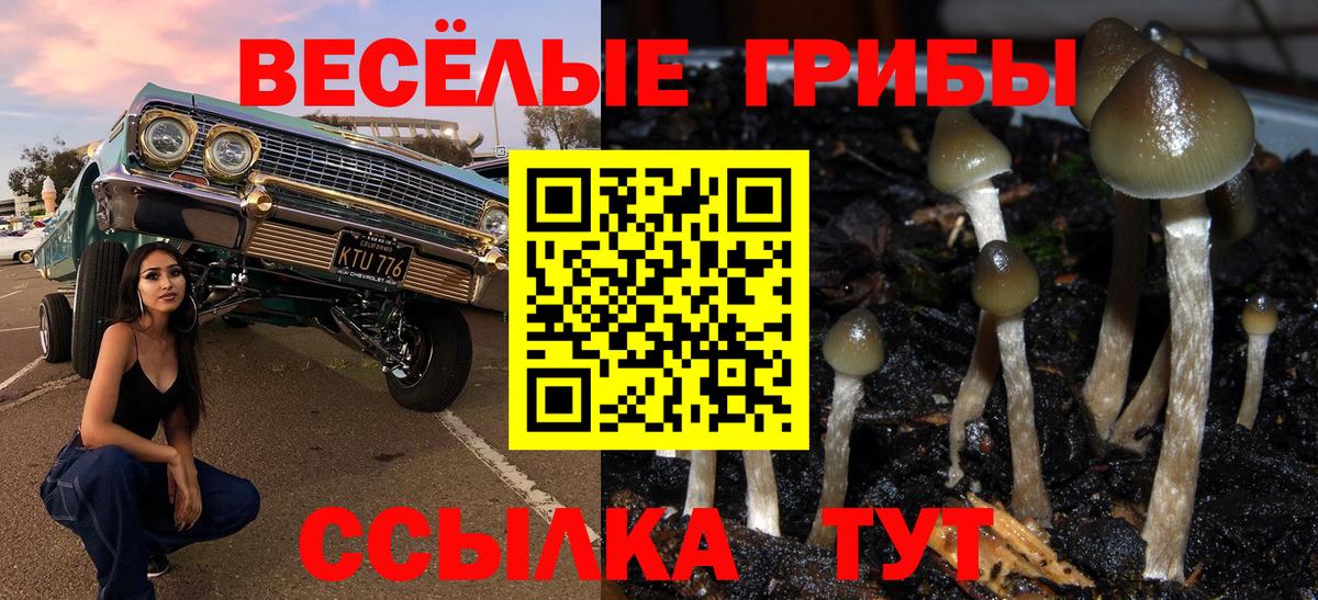 Галлюциногенные грибы прущие грибы  Галлюциногенные грибы мицелий  Вход с VPN  Королёв 